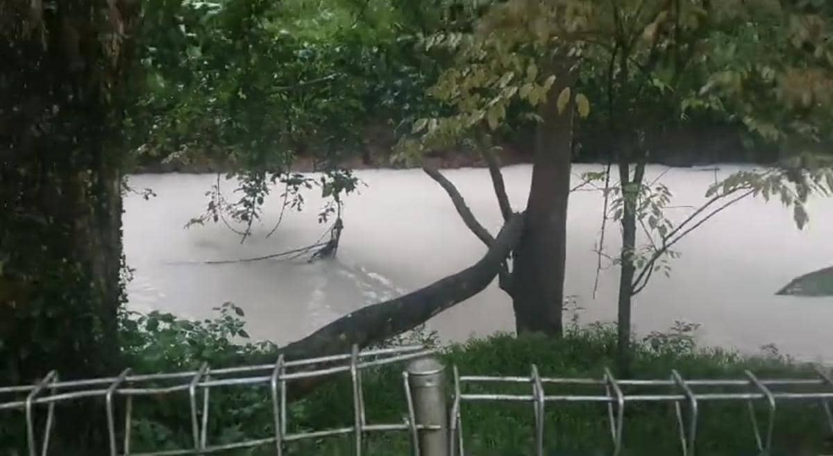 Kali di Serpong Memutih Usai Kebakaran Gudang Pestisida (Dok. IDN Times/warga)