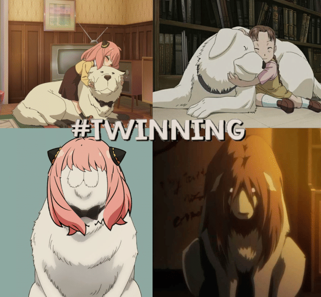 meme anime tentang saudara kembar