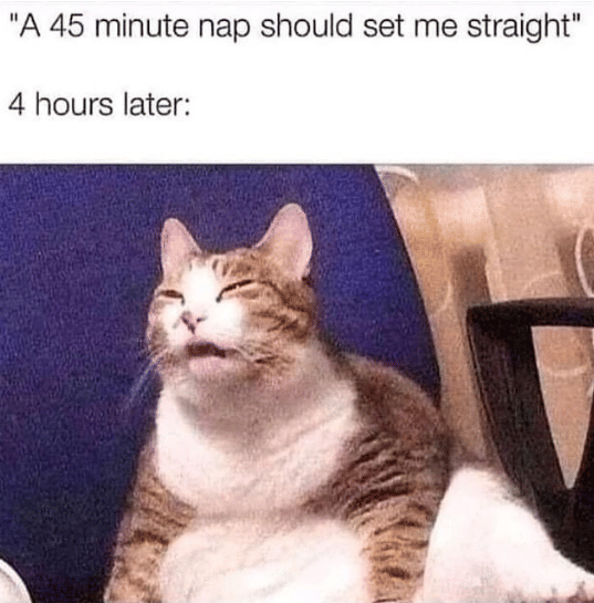 meme kucing tentang Minggu