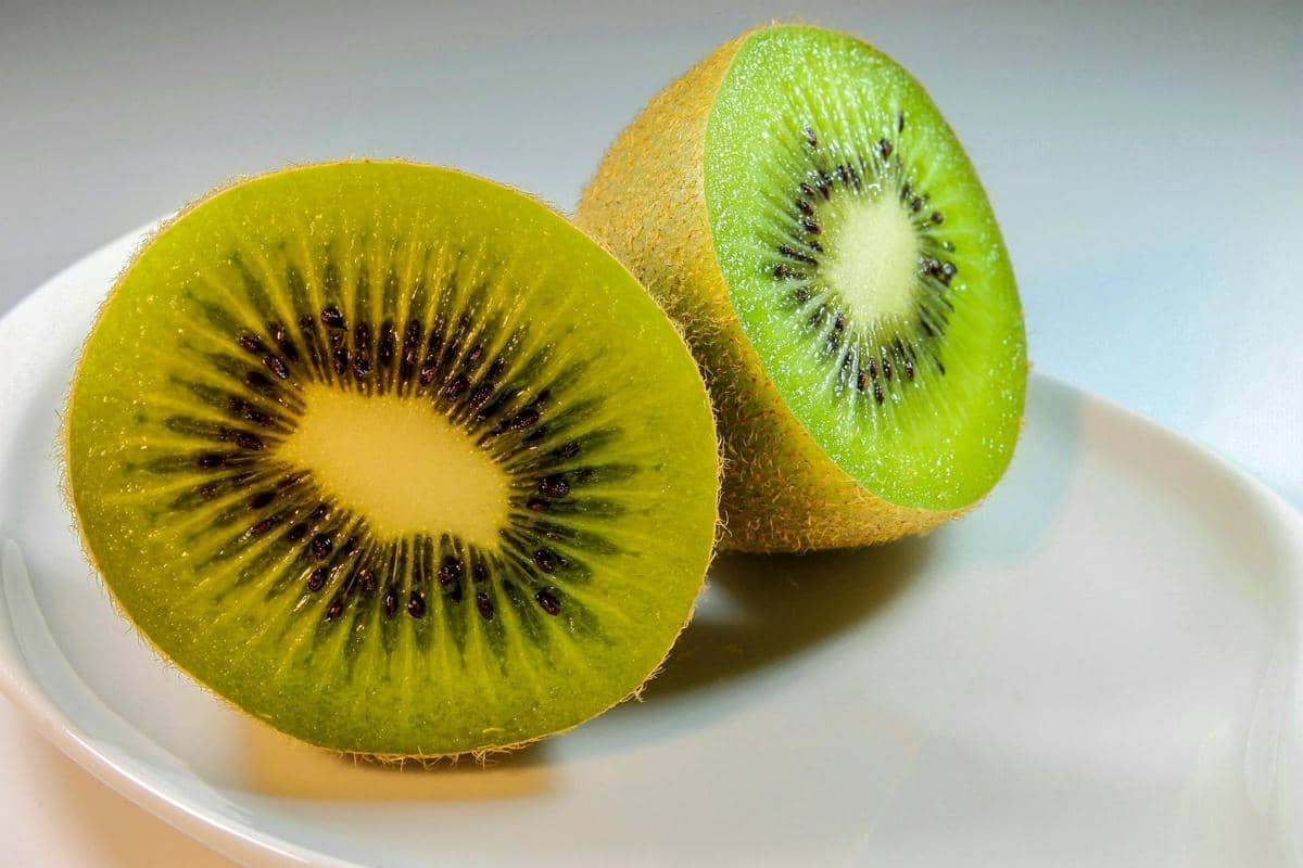 ilustrasi kiwi