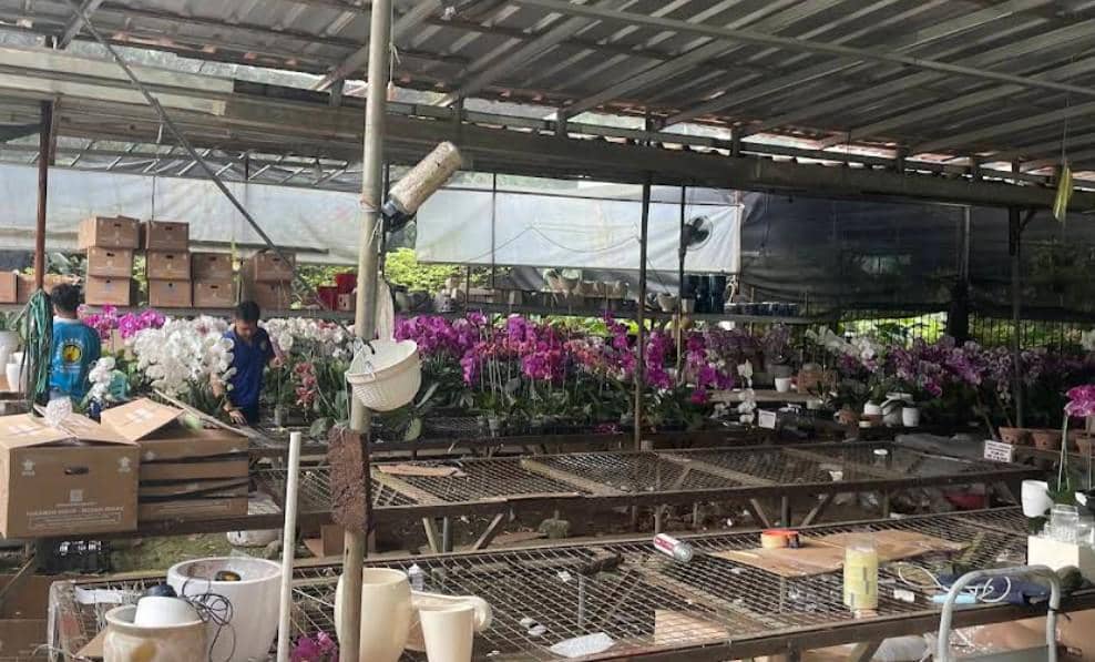 Taman Anggrek Ragunan 