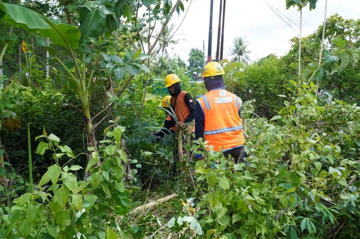 pln, rabas-rabas, petugas pln, siaga listrik