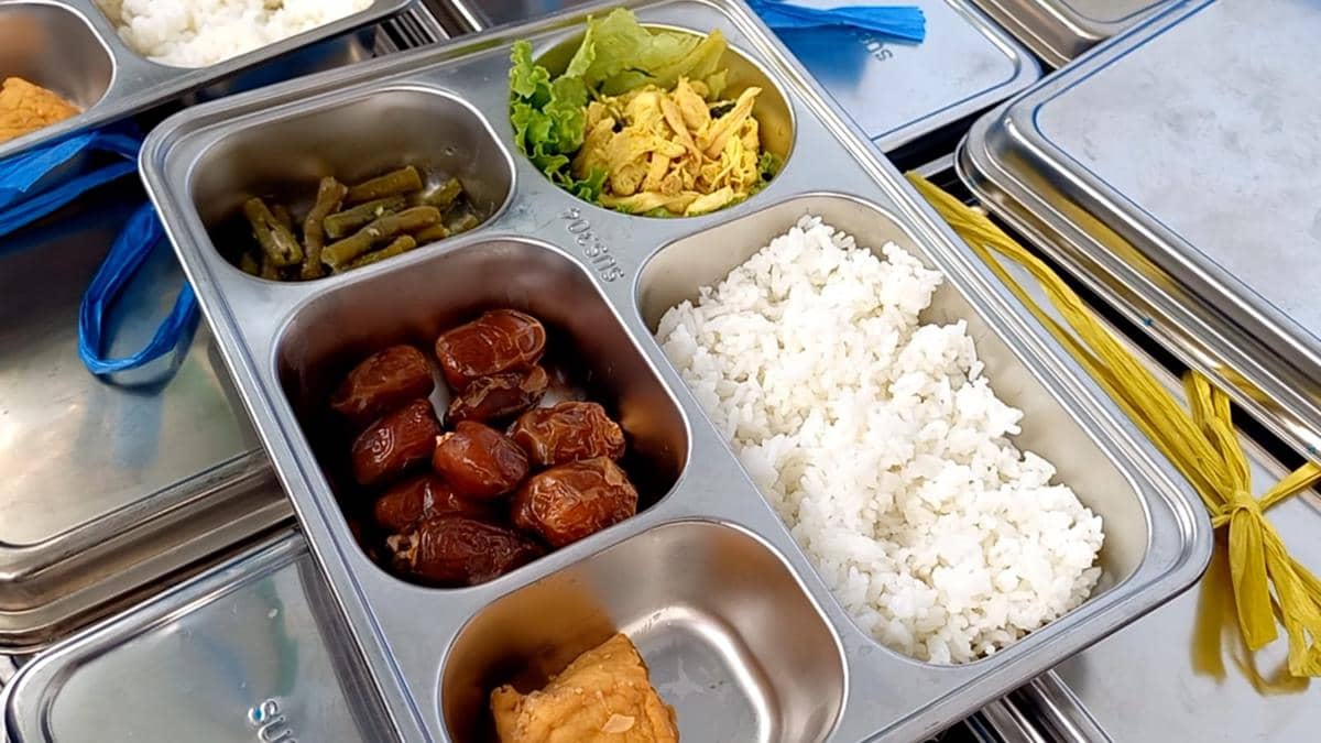 WhatsApp Image 2026-02-10 at 13.45.33.jpeg