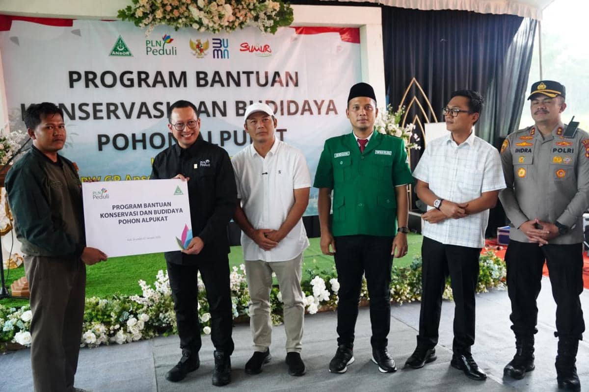 pln, pln tjsl, bibit alpukat