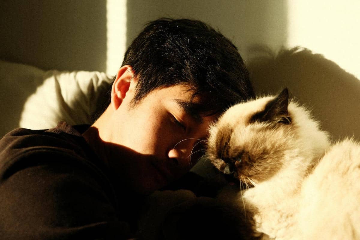 ilustrasi kucing dan pemiliknya