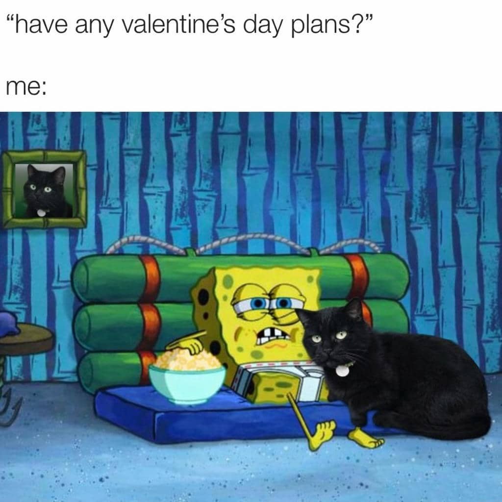 meme kucing tentang Valentine