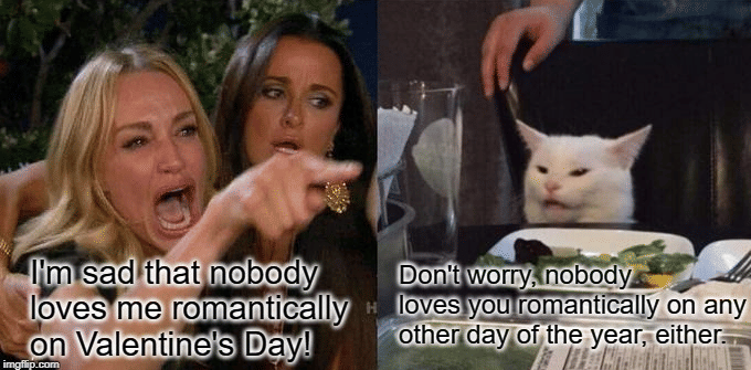 meme kucing tentang Valentine