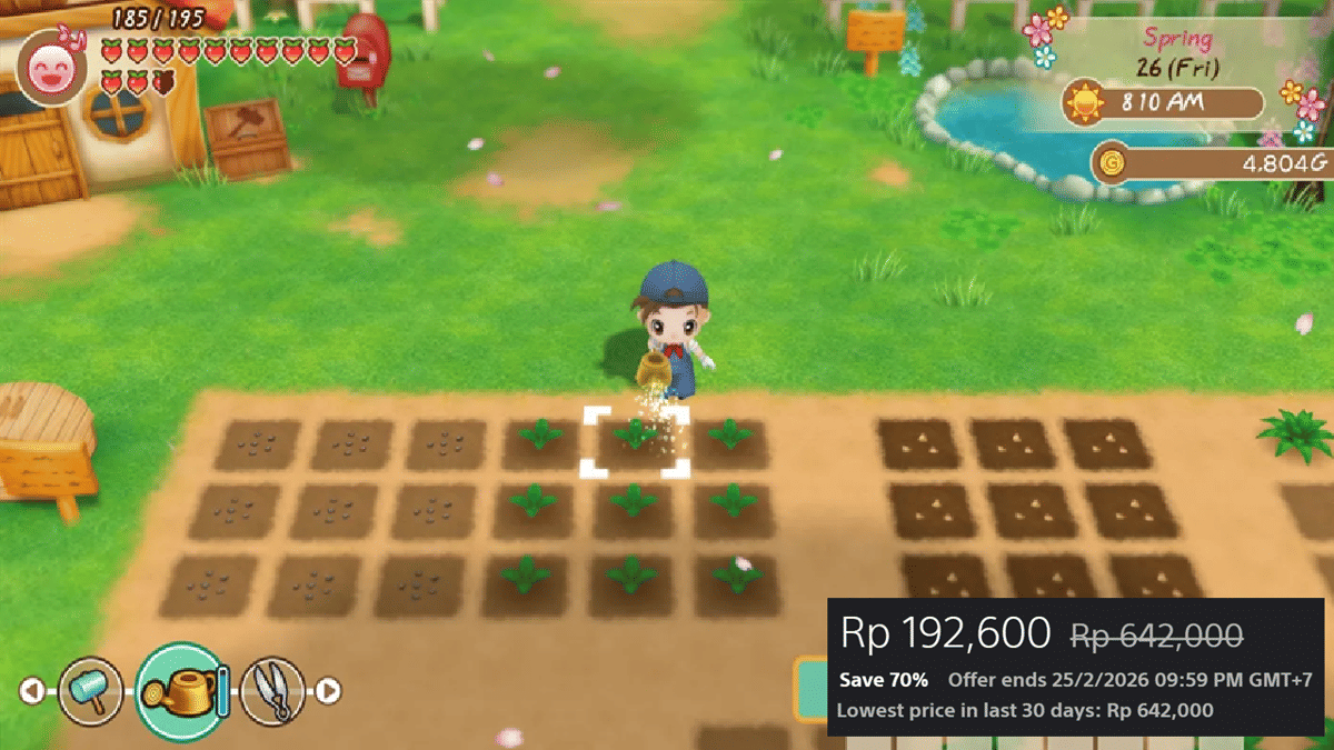 Story of Seasons: Friends of Mineral Town