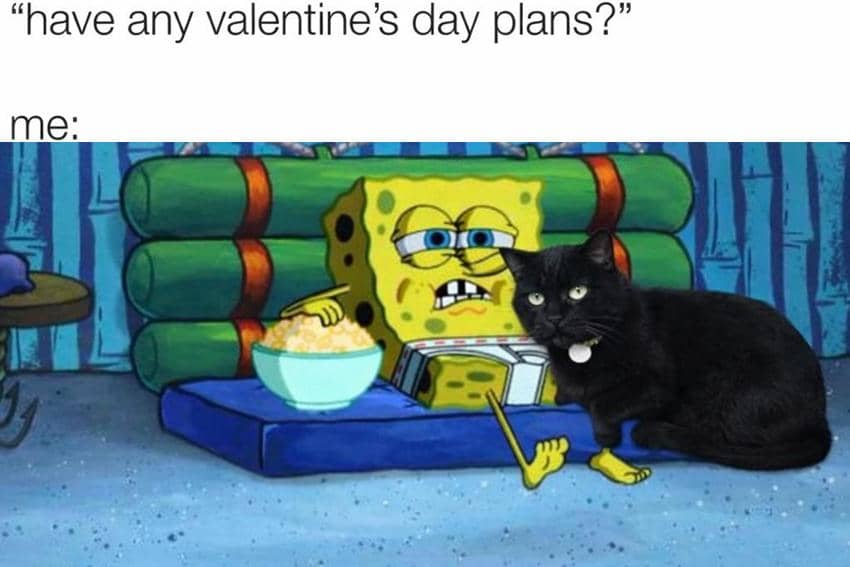meme kucing tentang Valentine