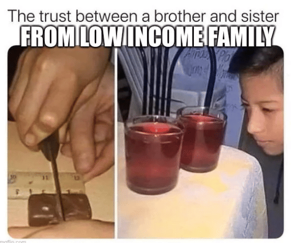 meme realitas penghasilan rendah