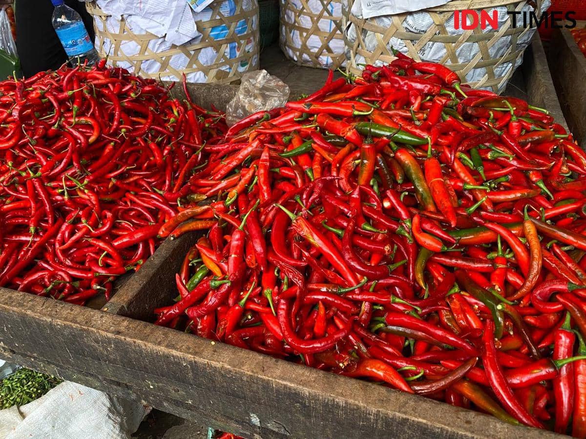 Ilustrasi cabai merah.