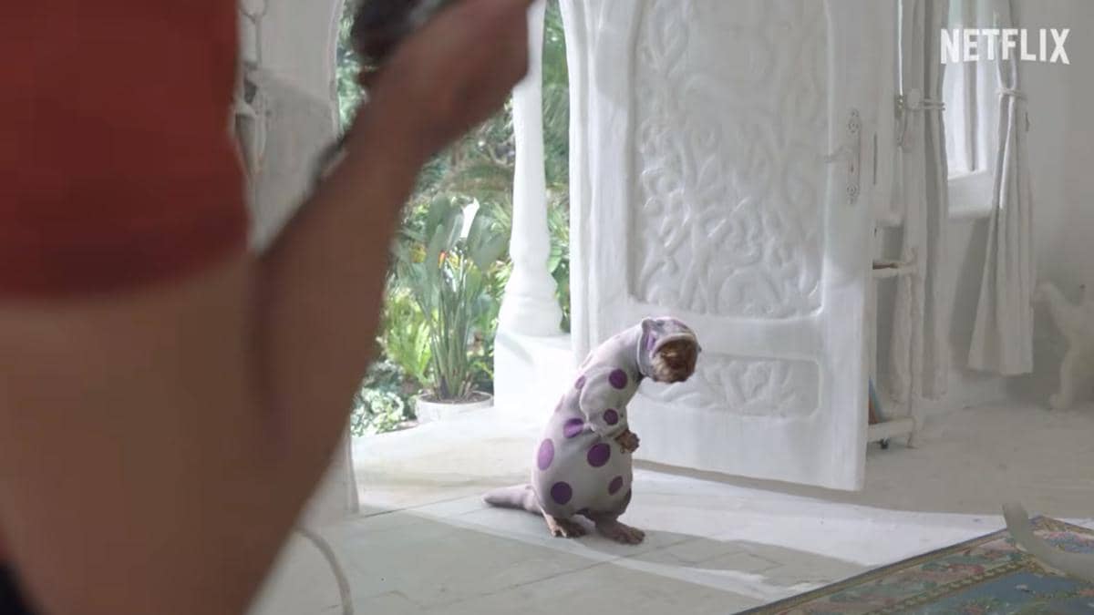 Sanji diserang Mr. 13 alias Unluckies - ONE PIECE: Season 2