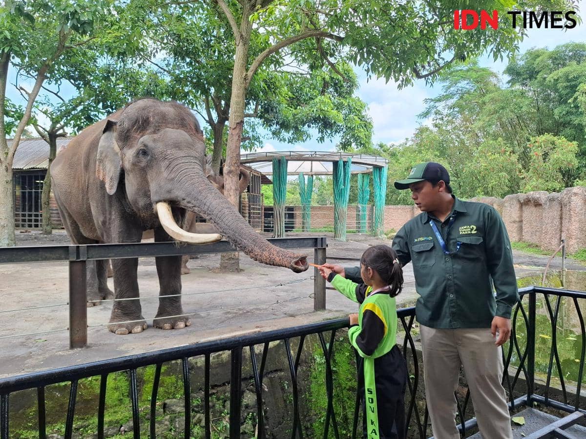 Potret Batu Secret Zoo di Jatim Park 2 Batu, Malang 