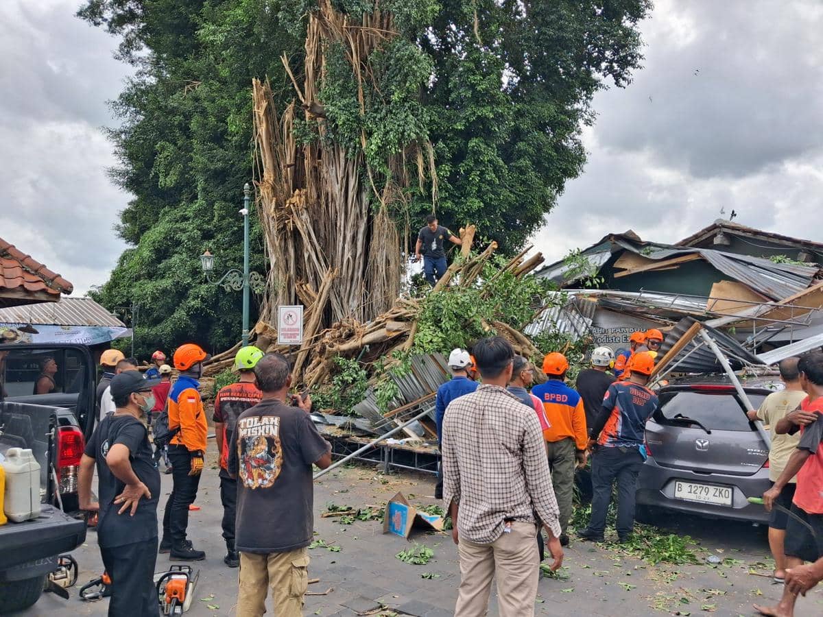 Beringin di Makam Raja Mataram Kotagede Roboh, Timpa Mobil dan Motor