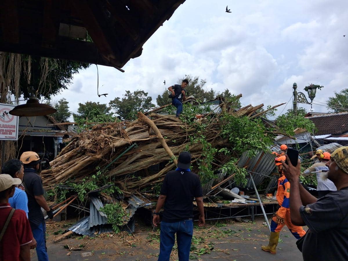 Beringin di Makam Raja Mataram Kotagede Roboh, Timpa Mobil dan Motor