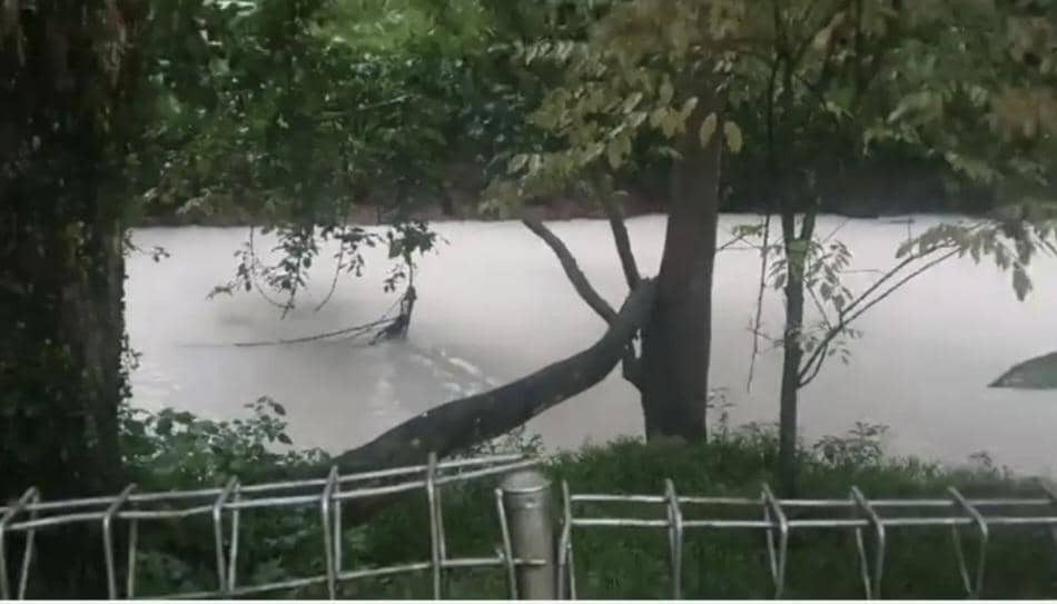 Sungai Cisadane memutih setelah tercemar pestisida (Dok. Warga)