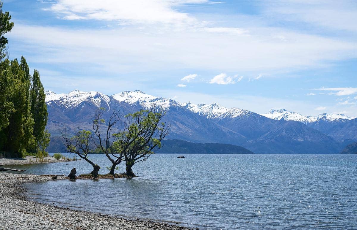 5 Fakta Danau Wanaka, Terbentuk dari Gletser hingga Punya Pulau Unik