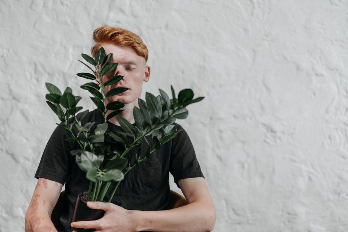 ilustrasi jenis tanaman hias beracun