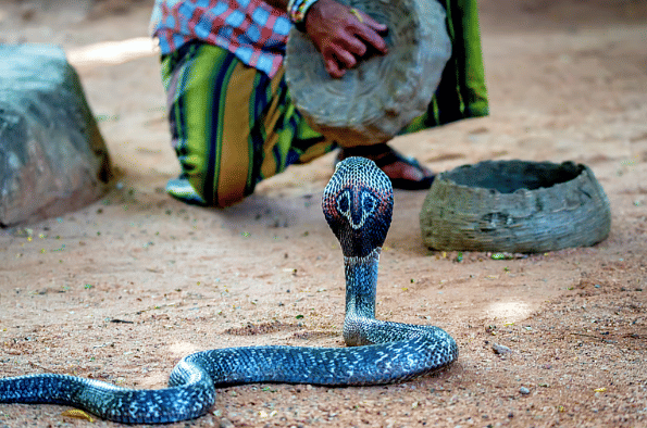 ilustrasi Desa Shetphal