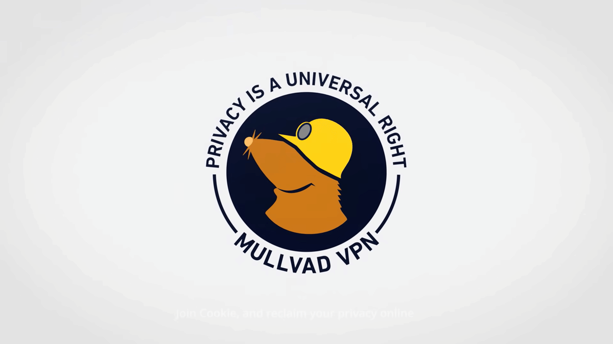 ilustrasi logo Mullvad VPN
