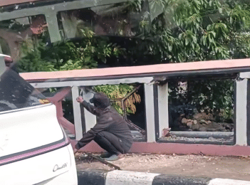 Viral aksi Rayap Besi viral di media sosial.