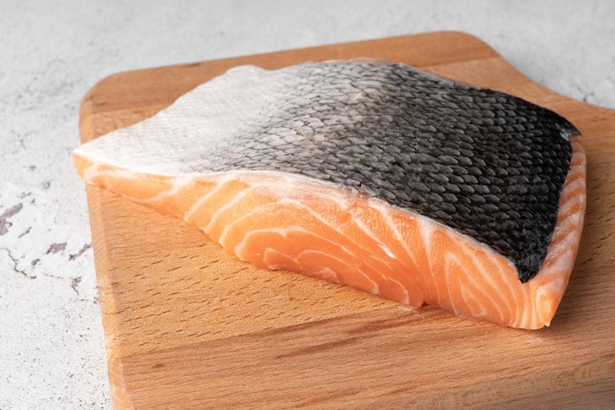 ilustrasi ikan salmon