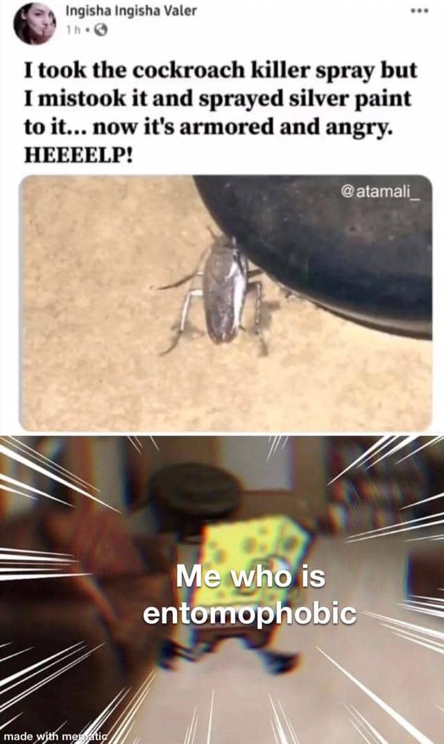 meme kartun tentang serangga