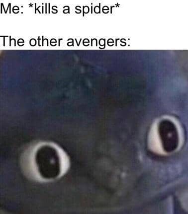 meme kartun tentang serangga