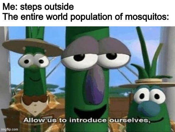 meme kartun tentang serangga