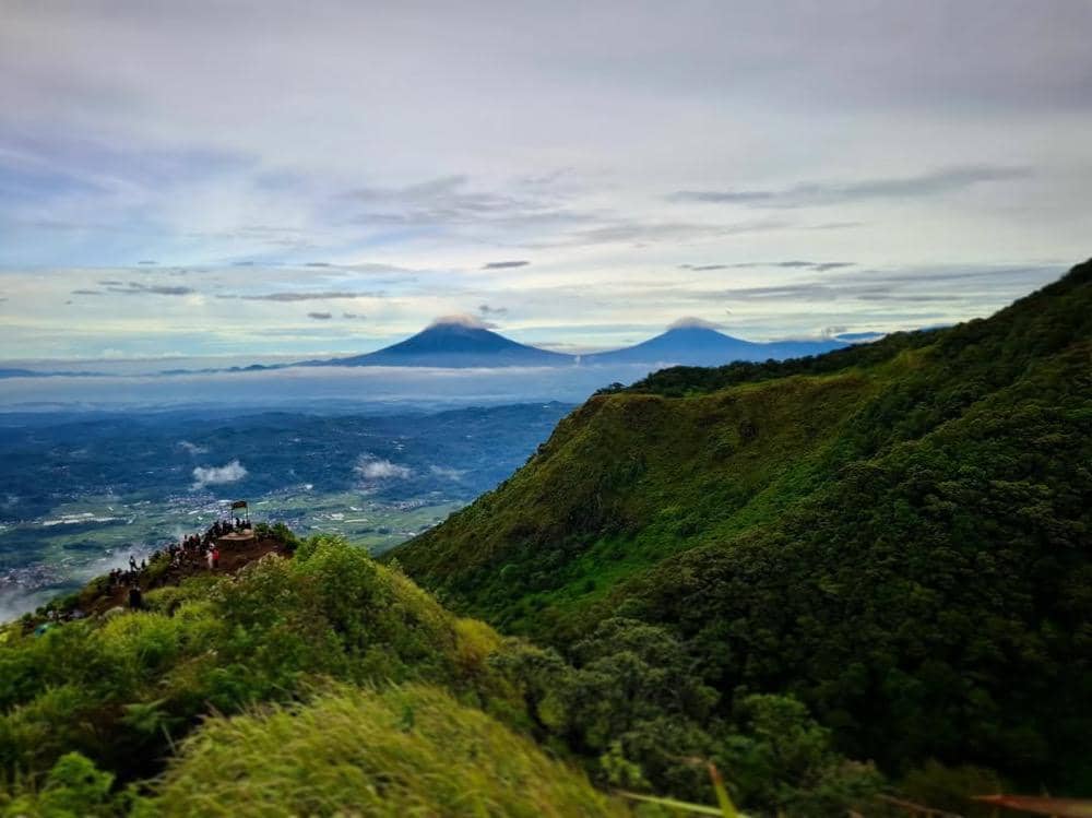 ilustrasi pemandangan di Gunung Ungaran