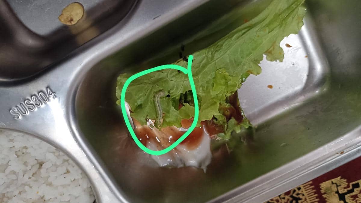 MBG terkontaminasi ulat di Pandeglang (Dok. Sekolah)