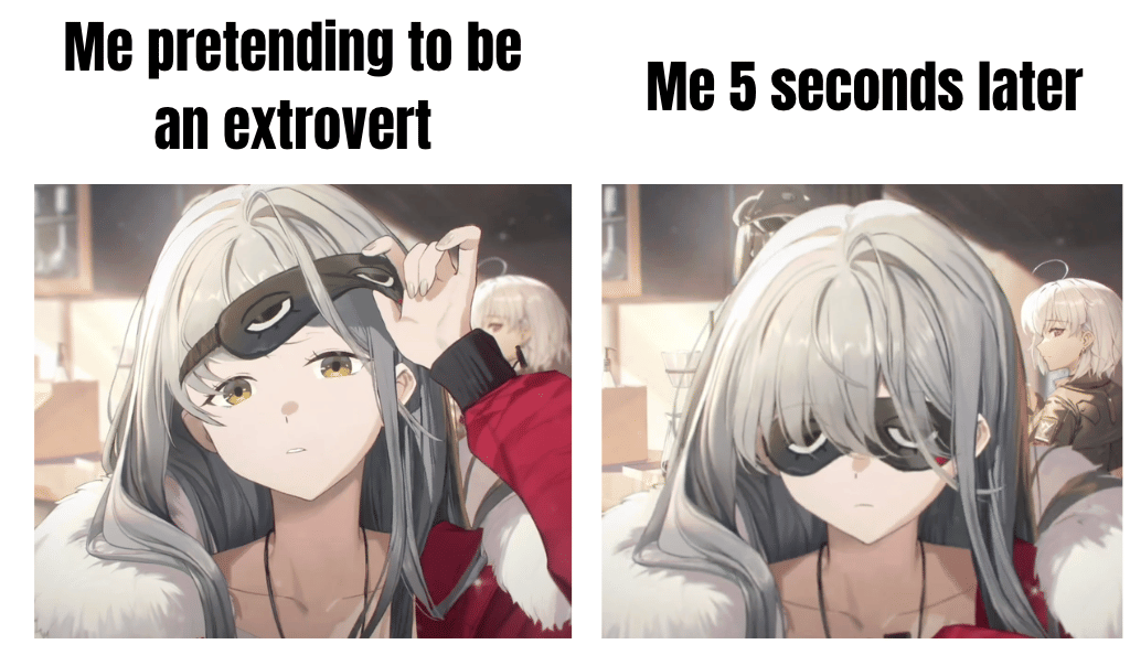 meme kocak ekstrover