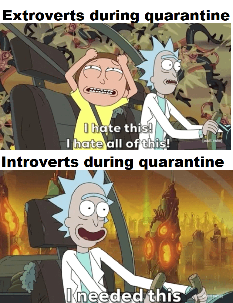 meme kocak ekstrover