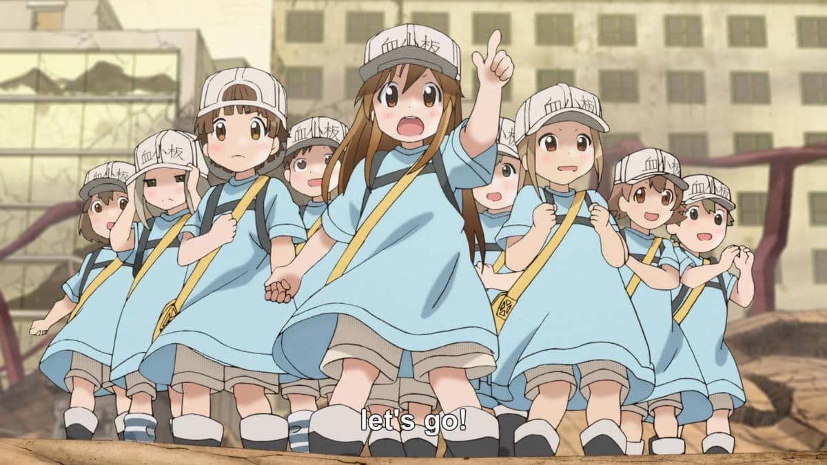 Cells at Work!