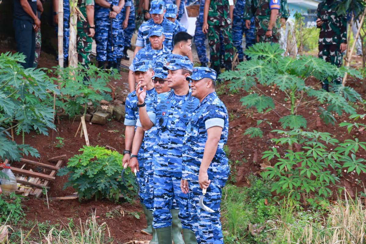 Kepala Staf TNI AU (KSAU), M Tonny Harjono panen padi di Lanud Halim Perdanakusuma. Jakarta Timur, Jumat (13/2/2026) (dok. Dispenau)