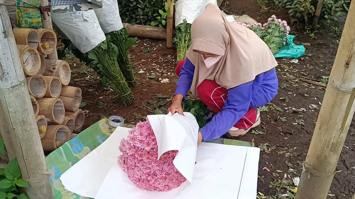 Jalan Panjang Bunga Krisan, Pemanis di Hari Kasih Sayang (Debbie Sutrisno/IDN Times)