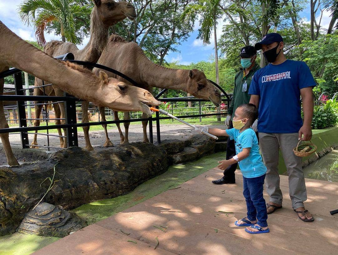 dok, Kebun Binatang Surabaya (2).jpg