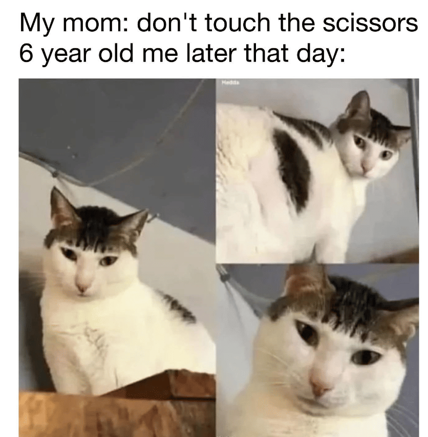 meme kucing tentang kenangan masa kecil