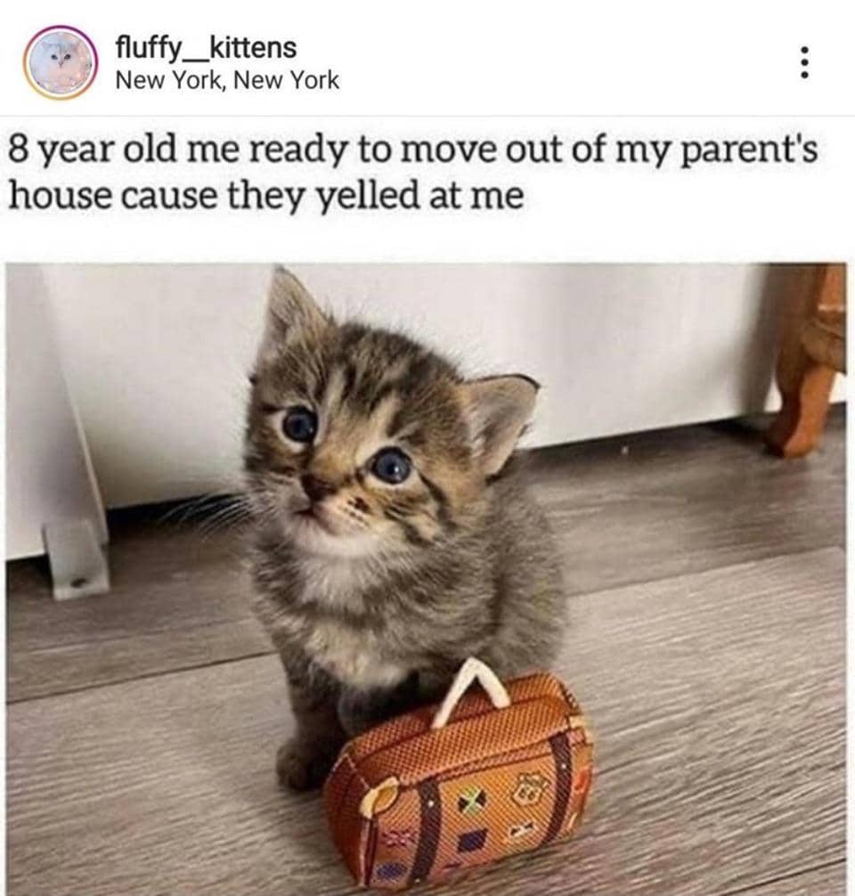 meme kucing tentang kenangan masa kecil