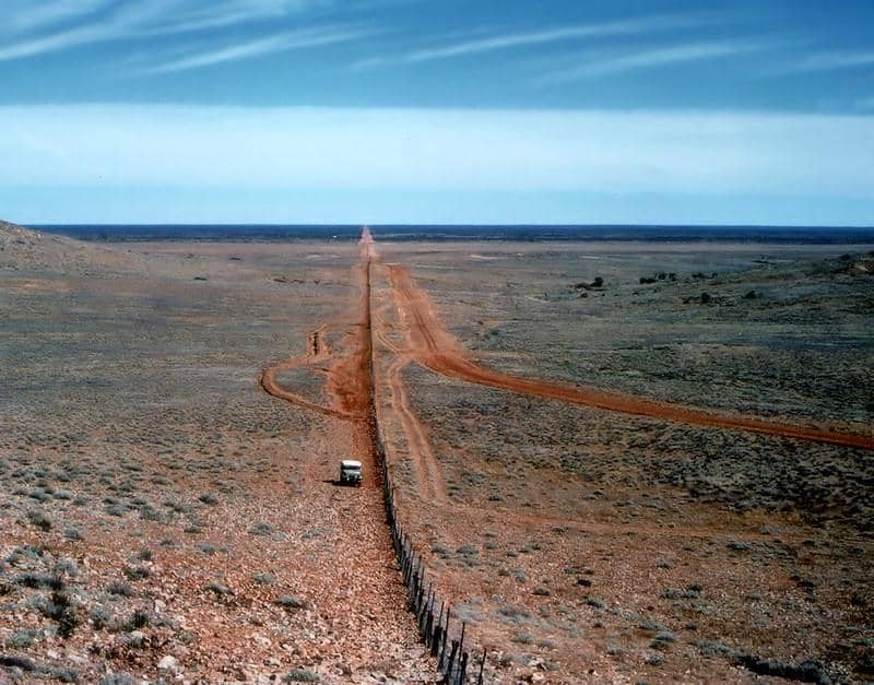 Dingo Fence