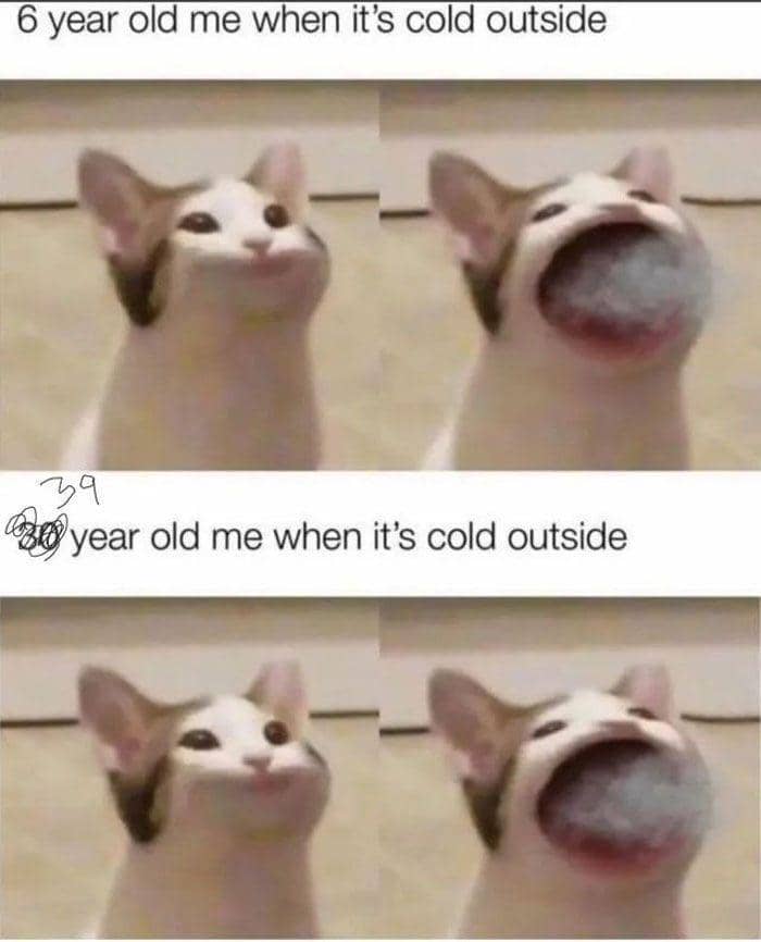 meme kucing tentang kenangan masa kecil