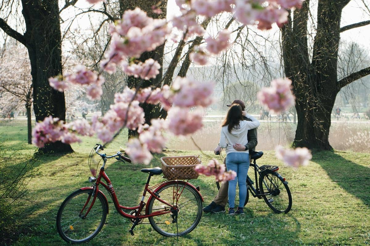 ilustrasi taman yang penuh bunga sakura