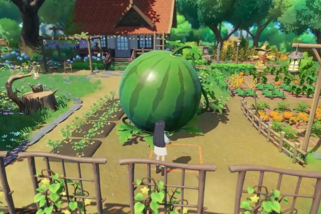 cuplikan Starsand Island