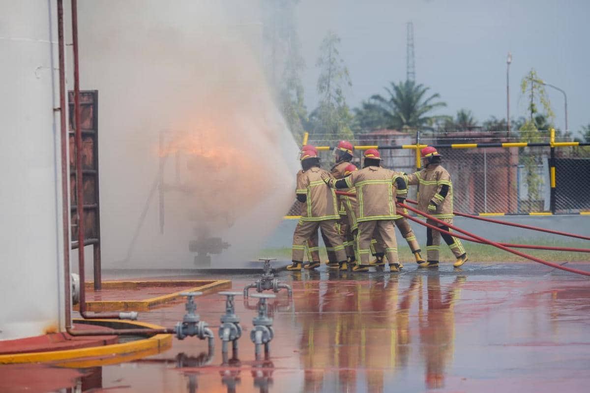 WhatsApp Image 2026-02-14 at 16.22.39 (1).jpeg