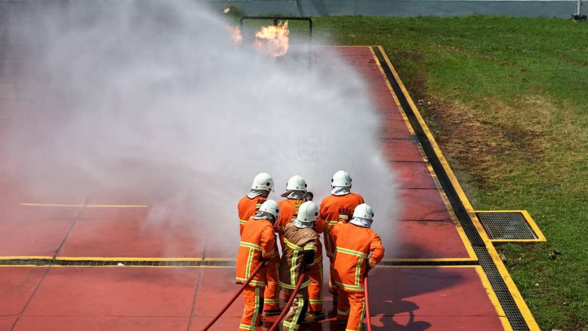 WhatsApp Image 2026-02-14 at 16.22.40.jpeg