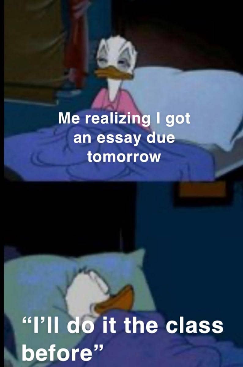 meme kartun tentang menulis esai