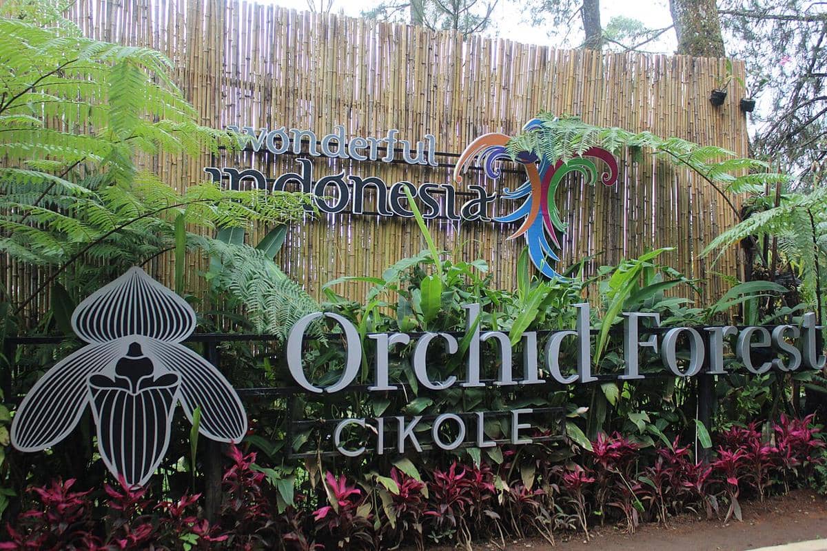 Orchid Forest Cikole