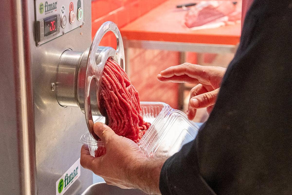 ilustrasi daging cincang