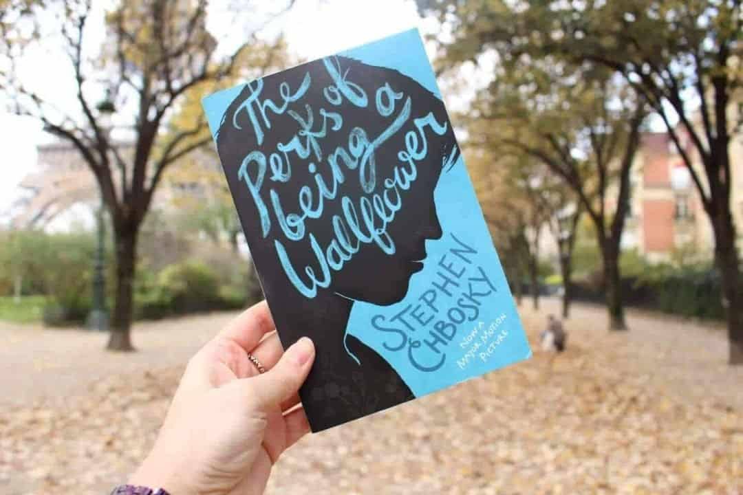 Buku The Perks of Being a Wallflower karya Stephen Chbosky.