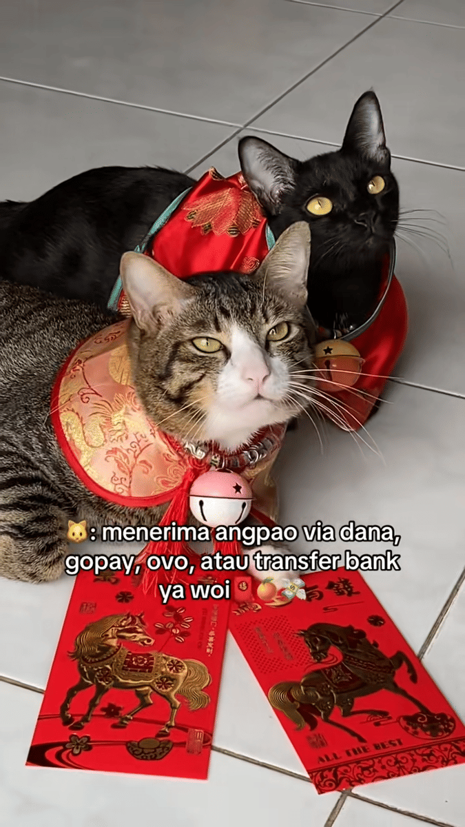 meme kucing Imlek 2026